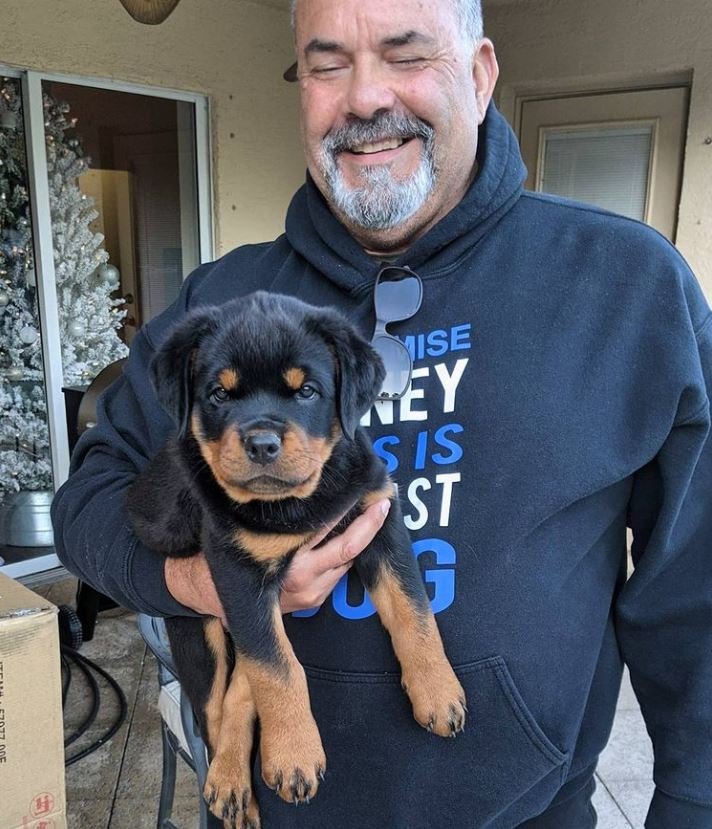 https://godblessedtheusa.com/puppy-inquiry