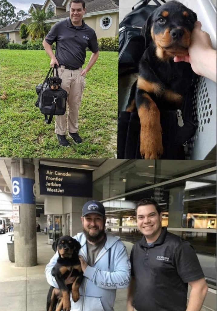 godblessedtheusa.com/puppy-inquiry